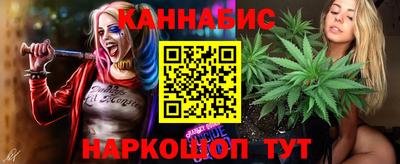 индика Тверь
