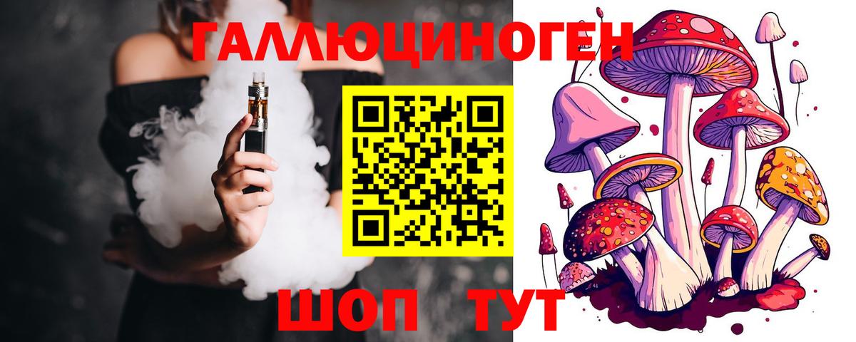 Псилоцибиновые грибы Cubensis Ржев