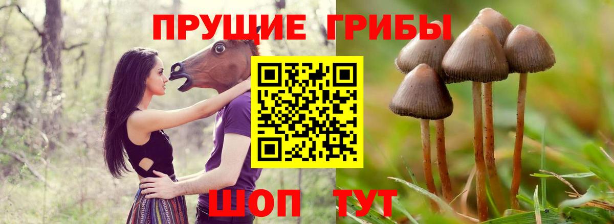 Галлюциногенные грибы ЛСД  Псилоцибиновые грибы Psilocybine cubensis  Ржев  Вход с VPN 